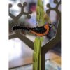 Oriole & Parakeet - Image 3